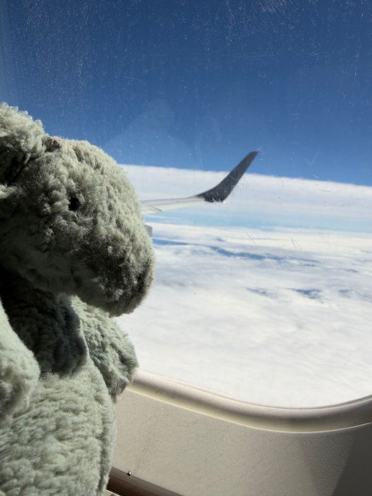 うーね はじめて ひこうきのったの ✈️
ちょっとゆれてたけど おりこうに のったよ☁️☀️