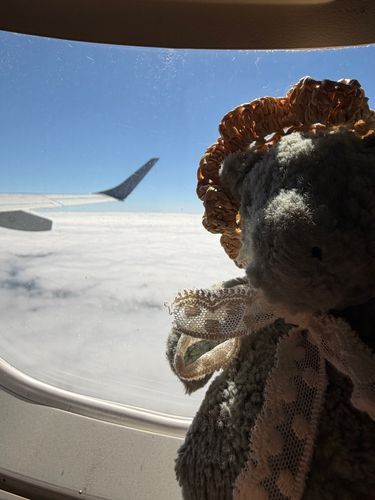 うーね はじめて ひこうきのったの ✈️
ちょっとゆれてたけど おりこうに のったよ☁️☀️