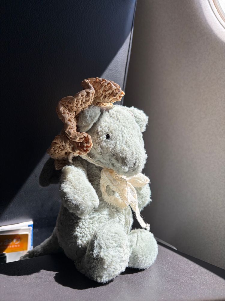 うーね はじめて ひこうきのったの ✈️
ちょっとゆれてたけど おりこうに のったよ☁️☀️
