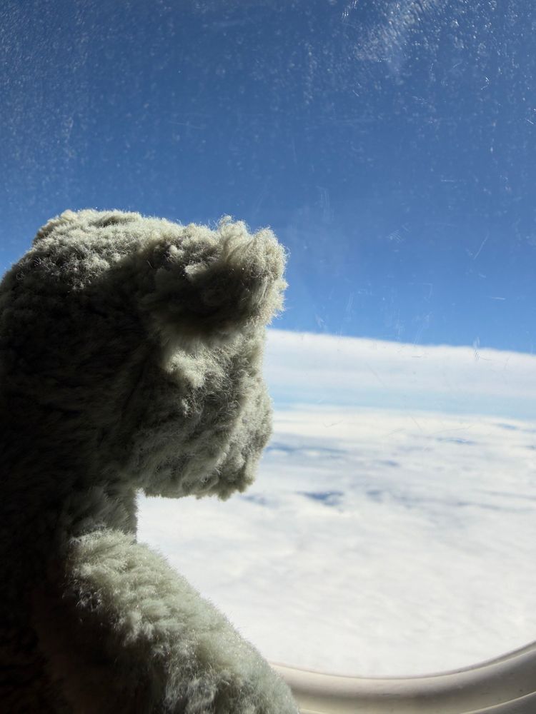 うーね はじめて ひこうきのったの ✈️
ちょっとゆれてたけど おりこうに のったよ☁️☀️