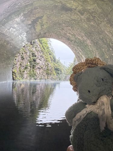 トンネルに みずがはってあって なんだかげんそうてきだったの✨