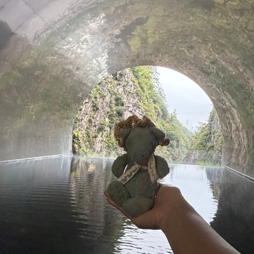 トンネルに みずがはってあって なんだかげんそうてきだったの✨