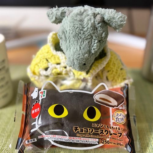 ねこさんなの？🐈🐈‍⬛