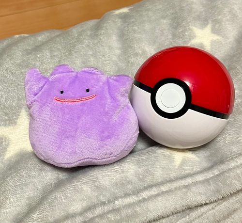 引き続き新しいお友だち、メタモン！
モンスターボールの中から飛び出てきたんだ