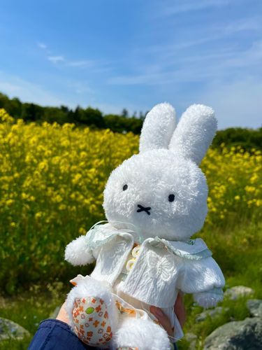 (・×・) なのはな！