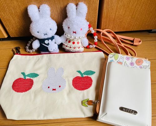 色々購入！中にはzakkaフェスタではない購入品もあるけど…おや？新しい子たちが増えたみたい！(・×・)