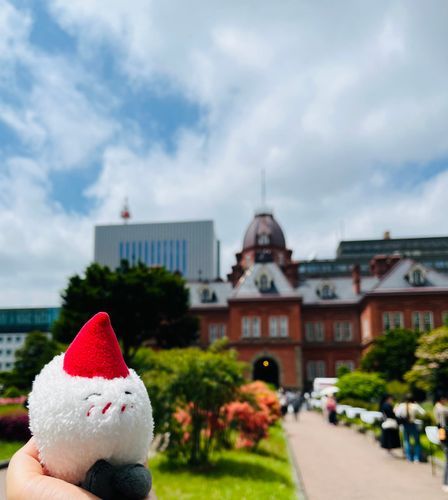 これは赤れんが庁舎だよ！札幌の象徴の一つだねかもめさん