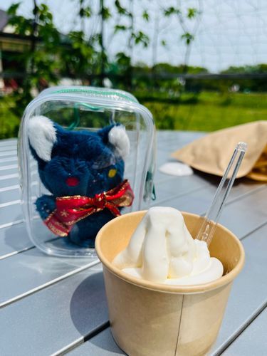 🌸🐾こっちのソフトクリームは　食べかけ