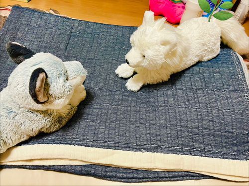 ガーゼケットというものを買ったよ、これで夏も快適に眠れそう！
おおかみたちも気になってるようです