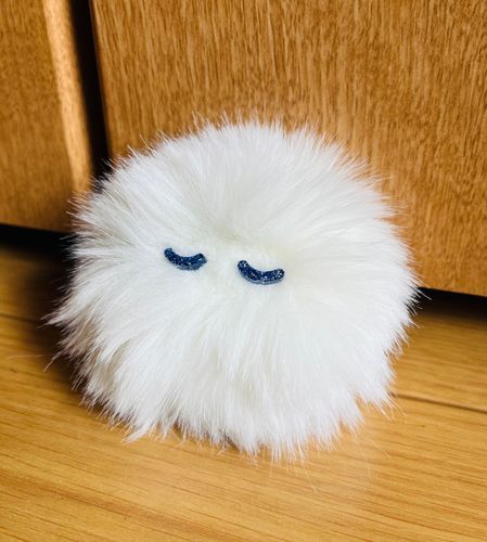けさぱさちゃんが来てくれたよ！この子はすやすや気持ちよさそう…