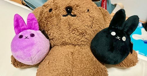🧸りょうてに　うさ？