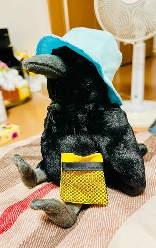サンレモンさんのｶﾗｽﾁｬﾝをお迎え！お外に出かける準備をしようねえ
