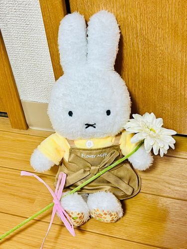 フラワーミッフィーのお店エプロンを手に入れたよ！店員さんみたいで似合ってるねミッフィー