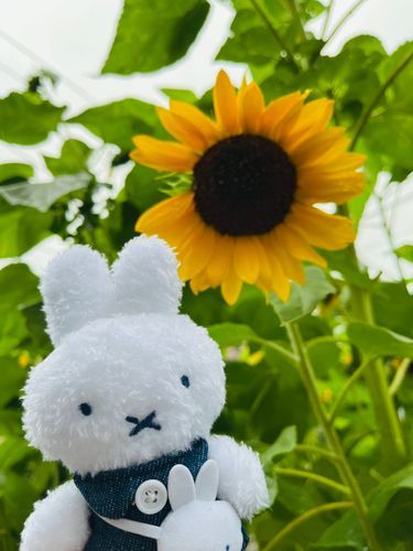 雨の日のお散歩も楽しいね☔️