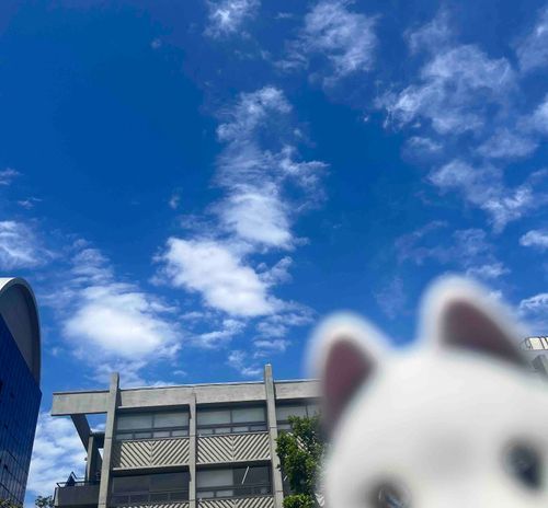 これがたまごスープのそらだよ