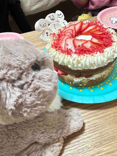 雪だるまさんのケーキ🍰みんなおかおがちがってかわいいわ！
いちごも、おいしかった…🍓