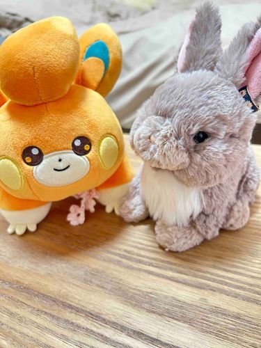 年末年始でSNSをおやすみしていたら、あいさつをわすれていたわ💦
みなさま、明けましておめでとうございます🌅今年もたくさんの方と交流できますように🌷