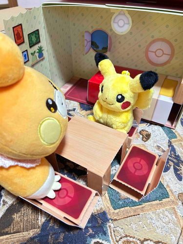 ピカチュのおうちにおじゃま
パモさんにはちょっと小さいけど、いいおうち