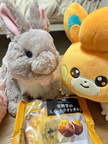 人間さん、パモさん、おかえりなさい！お茶とお菓子をたべながら、ゆっくりおはなしきかせてね🌷