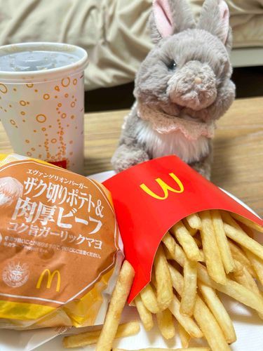今日はおいわいなの！人間さんが、卒業論文っていうのを出せたんですって！
がんばっていたから、るるもなんだかうれしい🌸