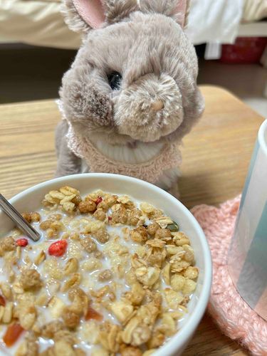 るふはさいきん、グラノーラにはまっちゃってるの…🫧きょうもお夜食に食べちゃう🌸