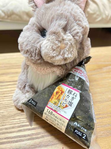 あさごはんにおにぎりをいただいたわ🌷