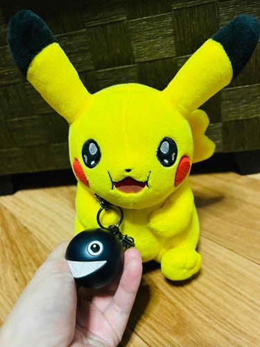 ワンワンのおせわをお願いされたよ！ワンワン、らいらといっしょにすごそうね〜！