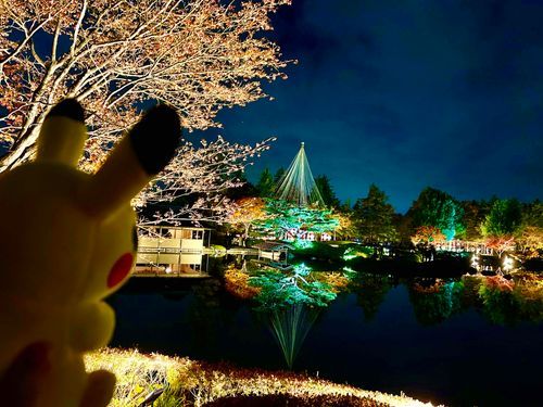 ぴかぴか🌟らいらもでんき出したいな