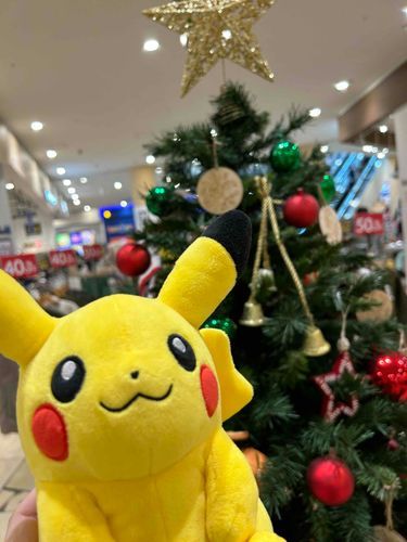 ツリーだぁ🎄