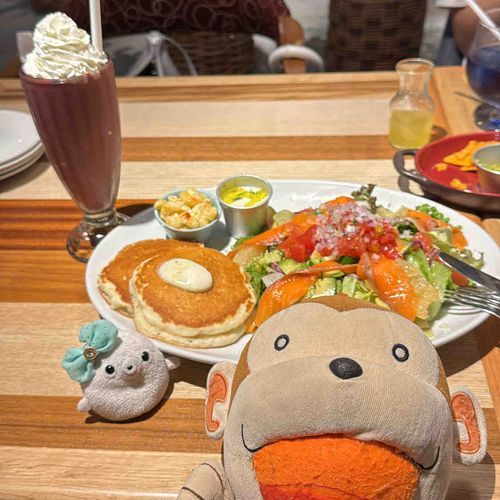今日はコナズ珈琲でサーモンサラダとパンケーキ食べたよ〜
サラダがもんちゃんの想像以上の量でビックリしちゃった！！！！
サーモンもちょびっとじゃなくてちゃーんと入っててHappy‼️🥞
アサイースムージーも頼んでお腹いっぱい‼️😋
その後はコメダ珈琲に行ってアイスミルクティー飲んだんだ！ミルクはあざらしが入れてくれたよ😊