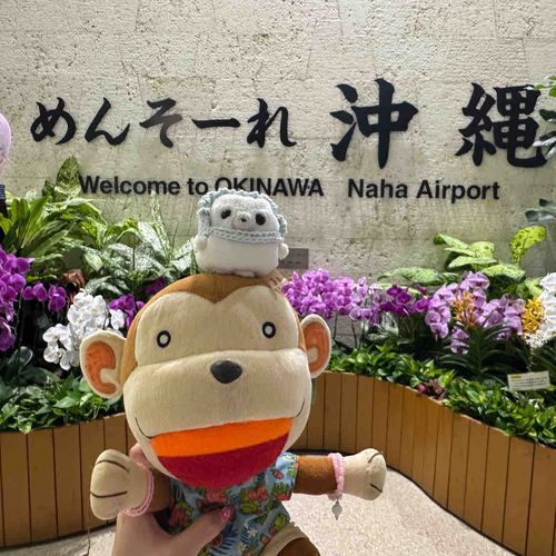 沖縄旅行楽しかった〜！
夏の終わりに夏を満喫出来たよ🌺
沖縄名物沢山食べられたし、楽しい思い出いっぱいできたよ〜✨️
