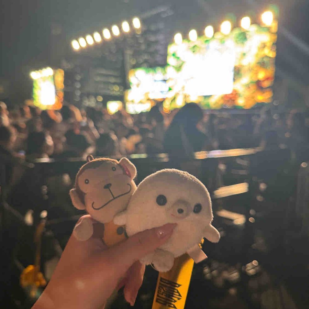 BMSGフェスに行ってきたよ〜！
みんな歌が上手でもんちゃん感動しました🥹
会場行く前にタイ料理屋さんでガパオライスとトムヤムクンのまぜそば、パパイヤのサラダを食べたよ
ガパオライスもサラダもピリッと辛くてもんちゃんの好きな感じだった💖
フェス終わったあとは成城石井で肉うどんとごまプリンを買って食べたよ！どっちも10パーセント引きでラッキー！