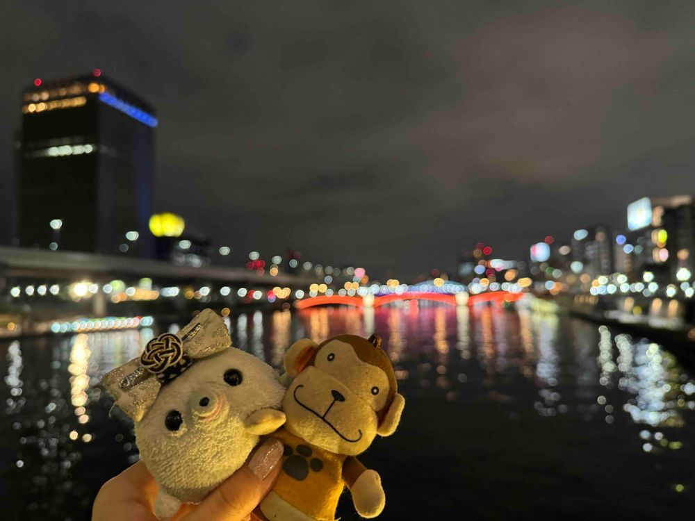 隅田川とスカイツリーに行ってきたよ〜
夜景がとっても綺麗だった✨️