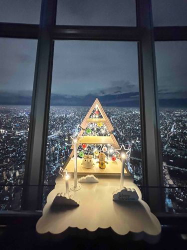 隅田川とスカイツリーに行ってきたよ〜
夜景がとっても綺麗だった✨️