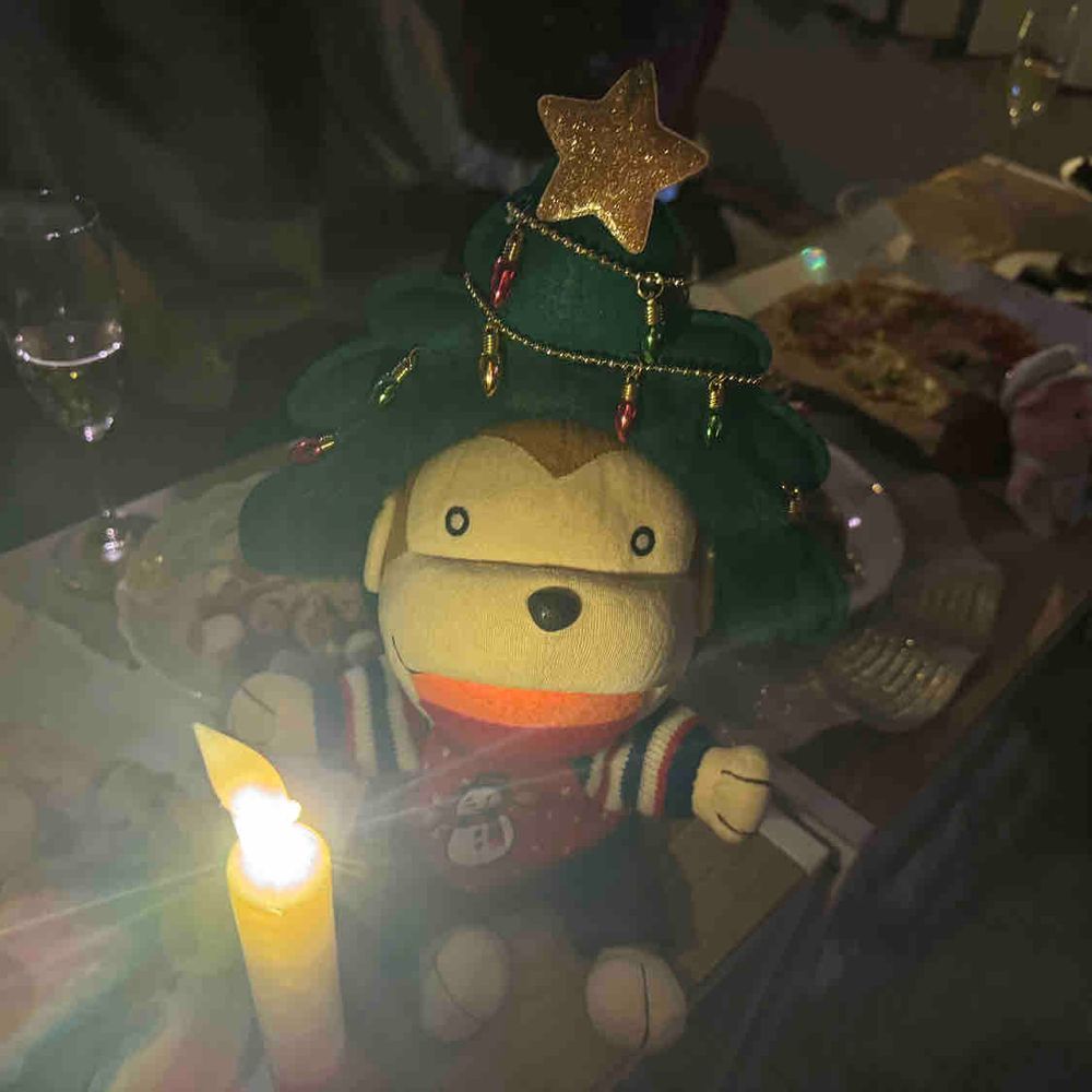 クリスマスパーティに参加した時のだよ