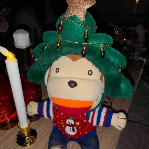 クリスマスパーティに参加した時のだよ