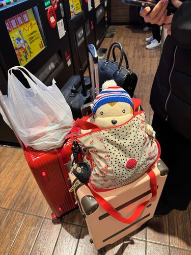 皆さんお久しぶりです！
もんちゃんはこの前広島旅行に行ってきました！
1日目は特に広島っぽいようなとこには行ってなくて広島焼きを食べに行ったりとか広島駅周辺を散策したりしたんだ
本場の広島焼きは目の前で焼いてくれて迫力満点だったよ〜