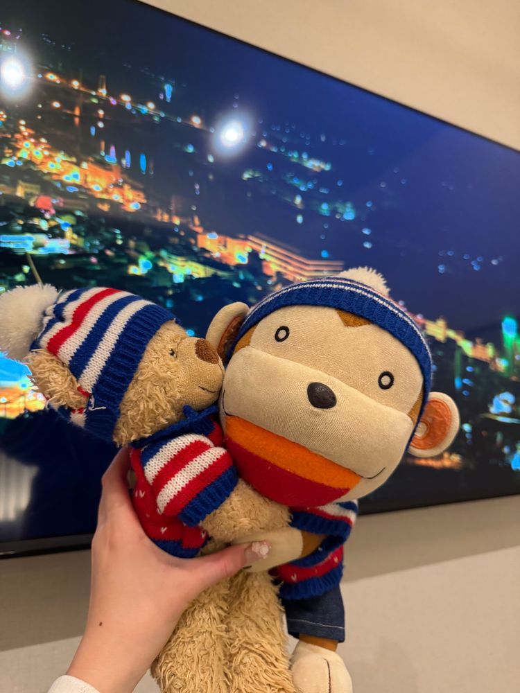 皆さんお久しぶりです！
もんちゃんはこの前広島旅行に行ってきました！
1日目は特に広島っぽいようなとこには行ってなくて広島焼きを食べに行ったりとか広島駅周辺を散策したりしたんだ
本場の広島焼きは目の前で焼いてくれて迫力満点だったよ〜