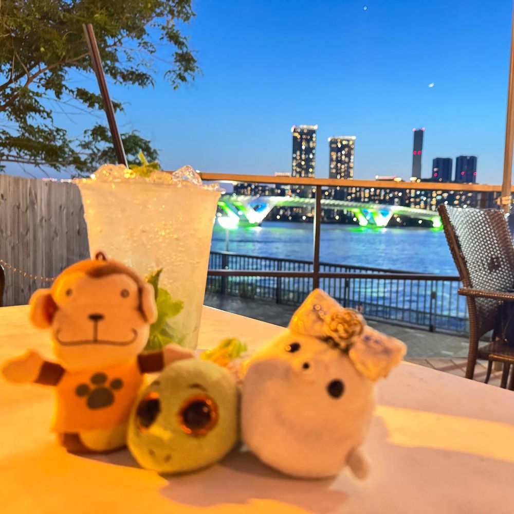 豊洲の夜景を見に行ってきたよ😙