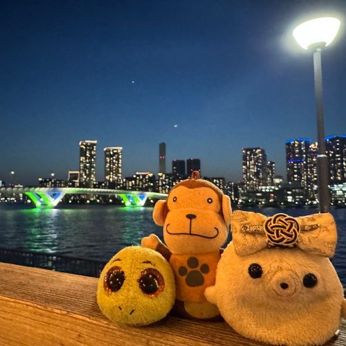 豊洲の夜景を見に行ってきたよ😙