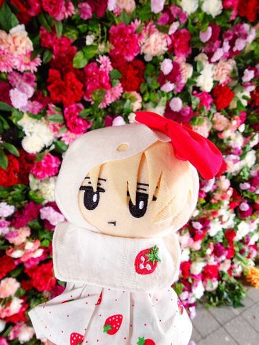 はな、きれいだな
ふくにもあっている
これがばえというやつか？