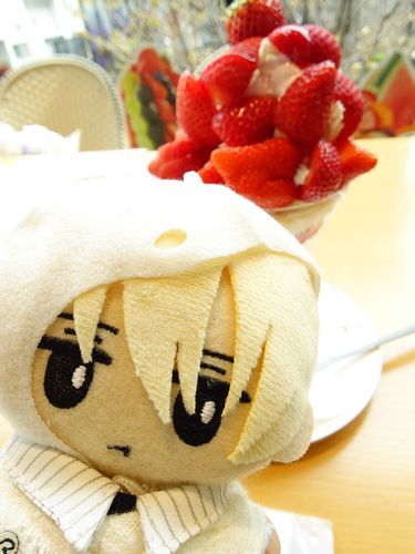 いちごのぱふぇだぞ
じつはきょうは はじめてあるじのともをするなかまがいる
あとでしょうかいするぞ