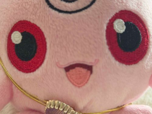 ポケモンのたいかいのけっしょうせんすごかった！！！ププちゃんもバトルやってみたいな〜