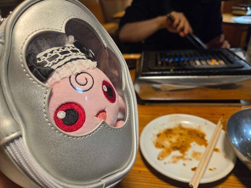 やきにくだから、においとよごれがついちゃうよっていわれてポーチからだしてもらえなかった〜😢