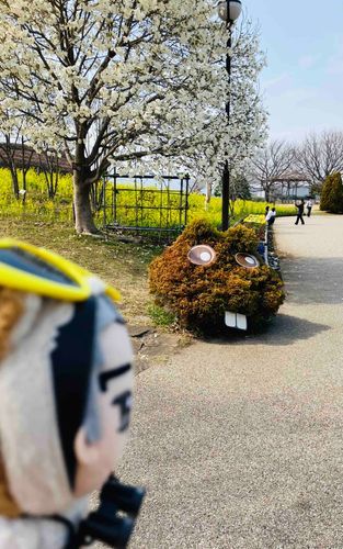 アレは何？