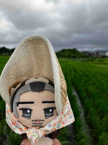 雨が降ったので田んぼ（よそのお家の）を見に来ました