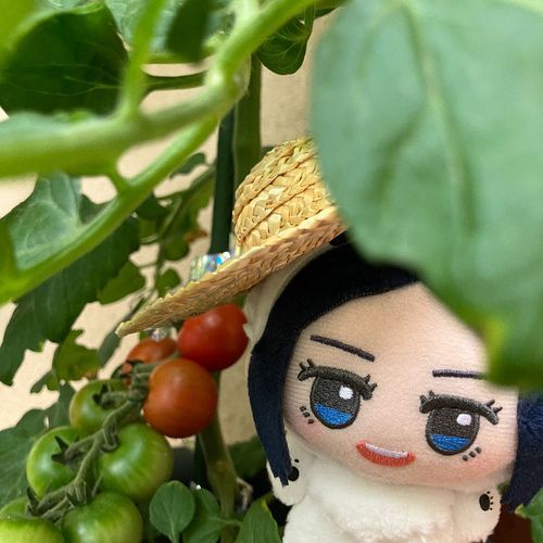 レタㇼパの🍅です