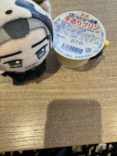 これはママがお昼に貰ったプリン🍮