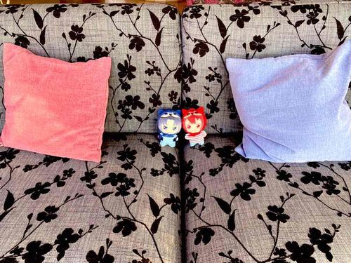 🛋️