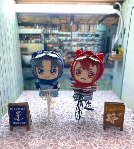 🚲🚲